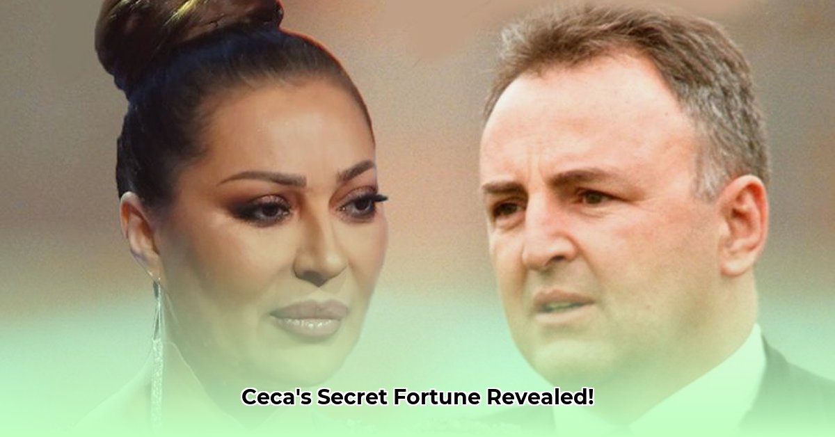 ceca-net-worth